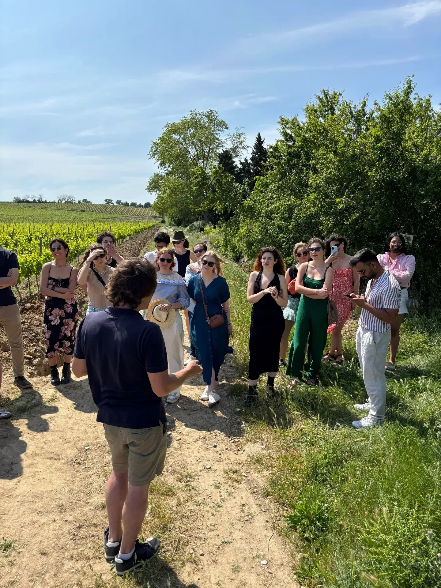 Chemin dans les vignes du domaine