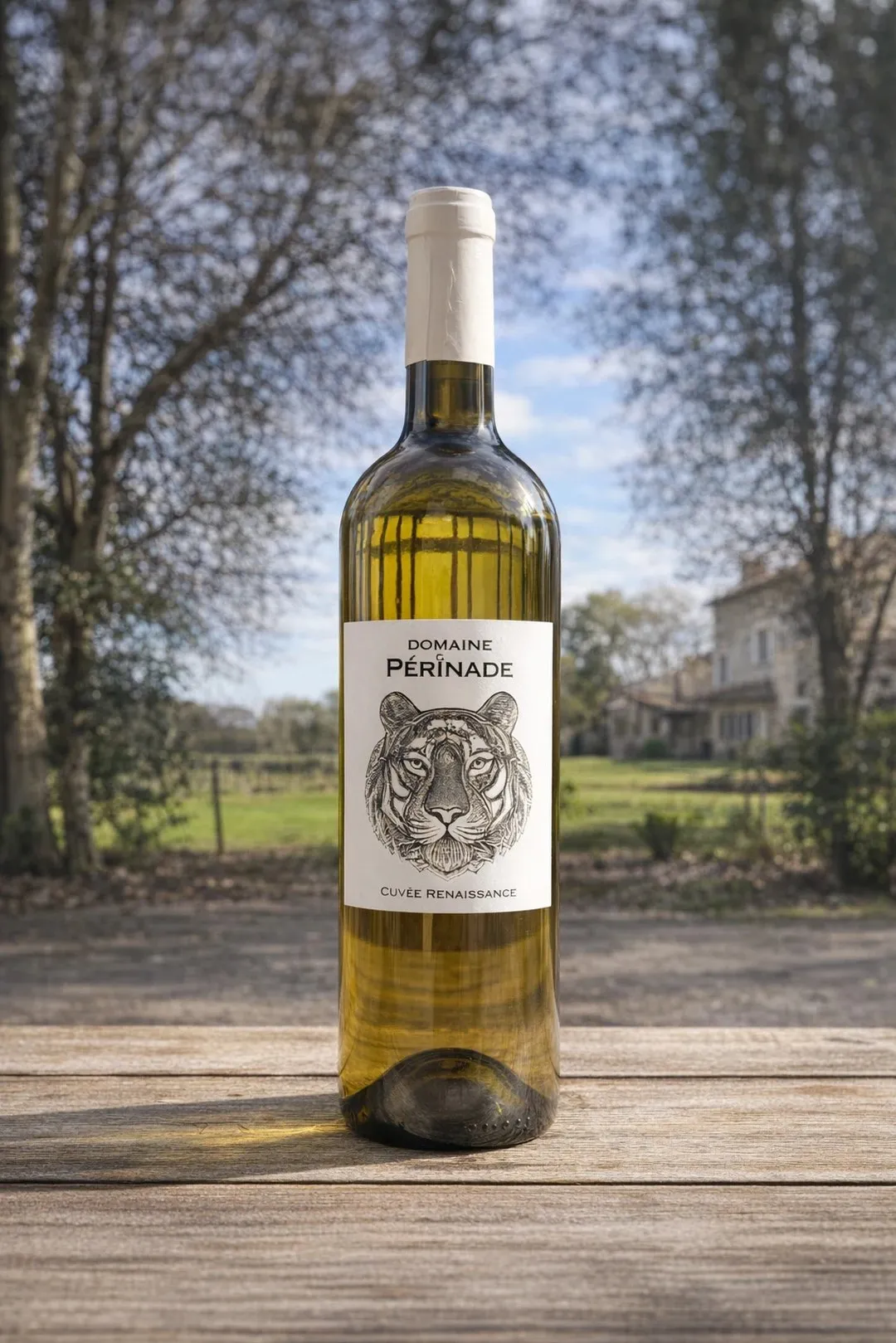 Bouteille de vin blanc du domaine