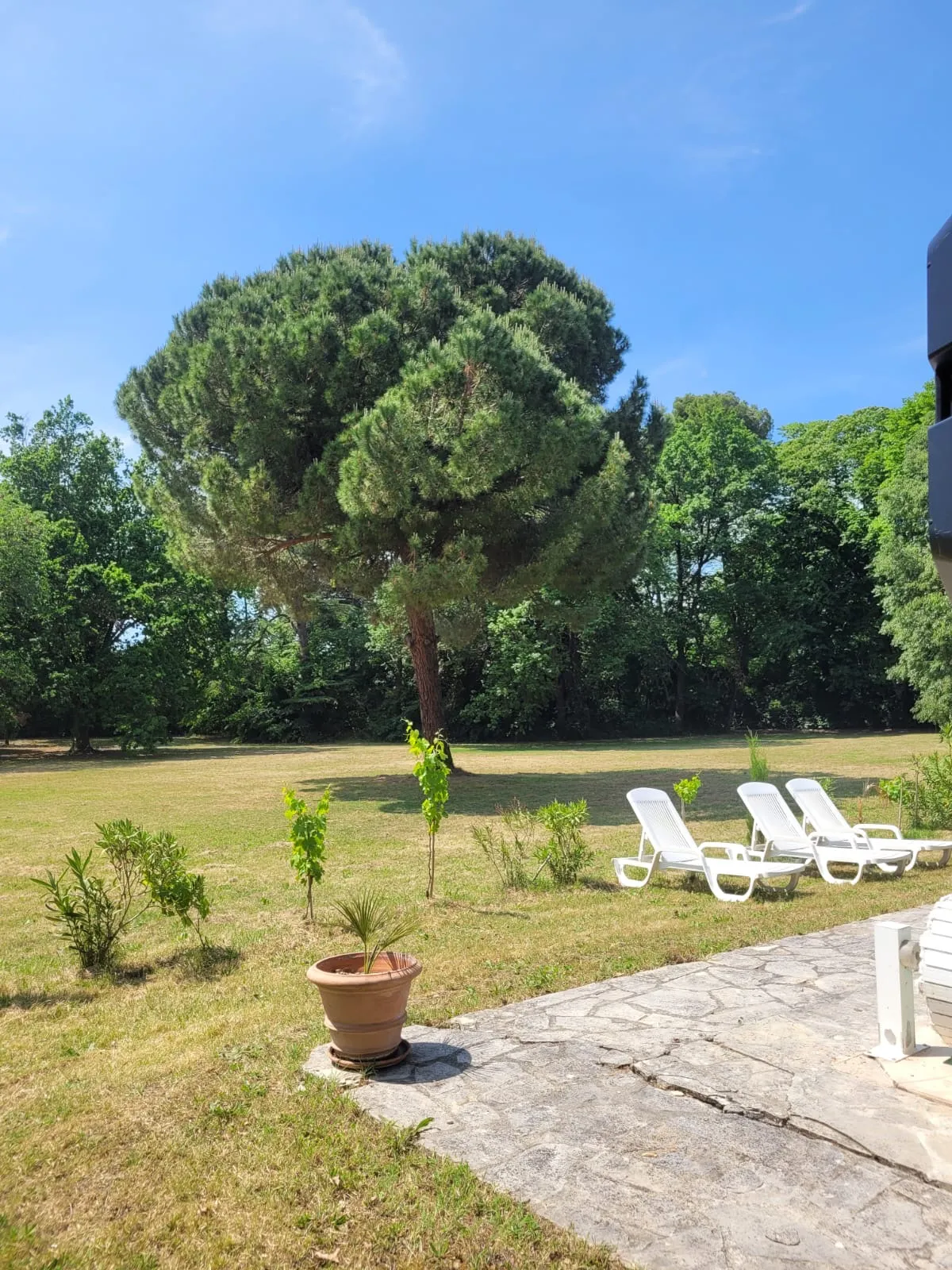 Jardin en été