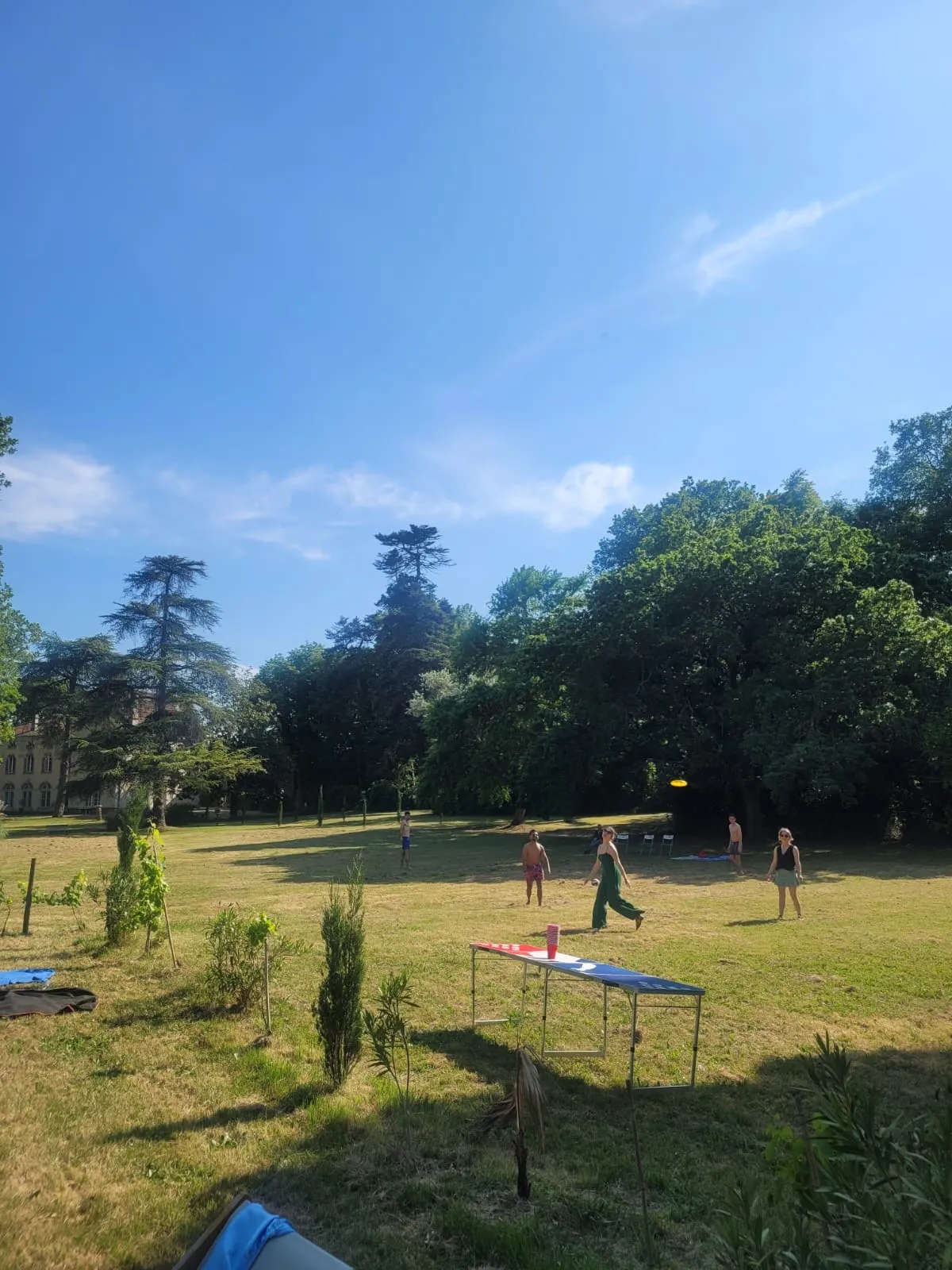 Activités au jardin