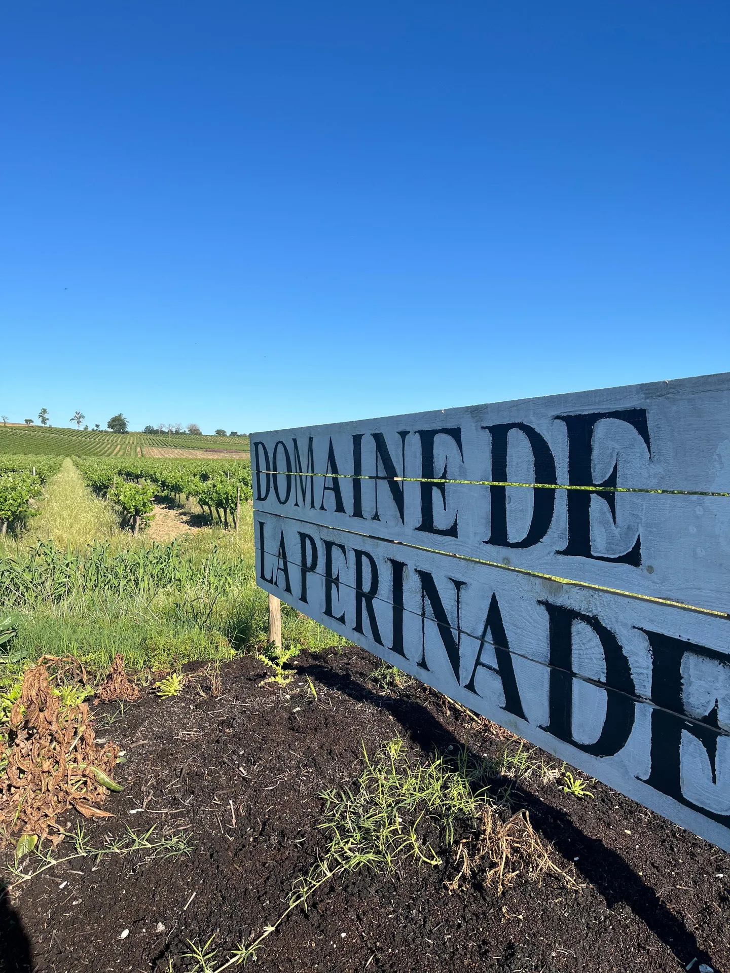 Panneau du vignoble