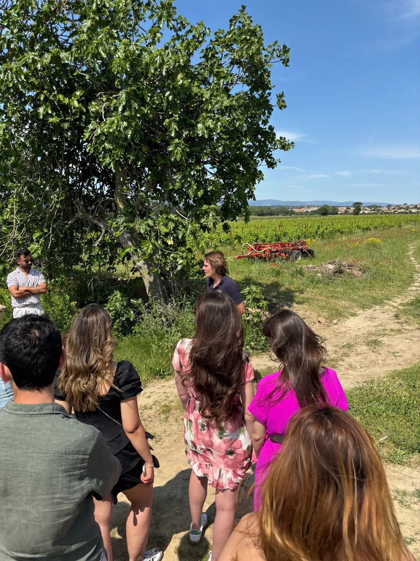 Visite des vignes