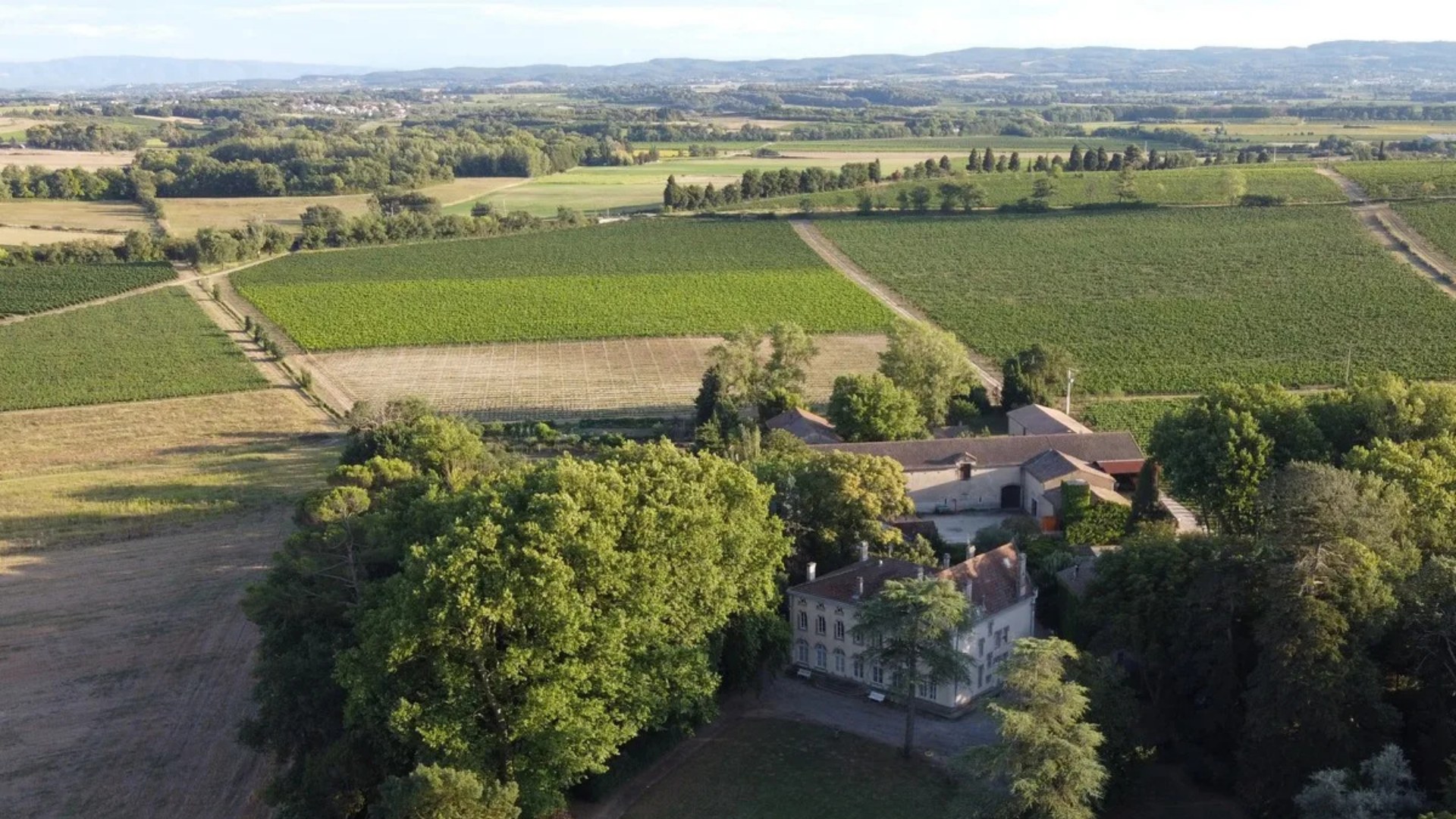 Vignoble Domaine de la Périnade